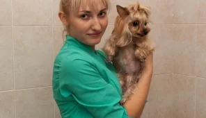 Ветеринарная клиника ЗооВита Фото 3 на проекте Kazan.vetspravka.ru