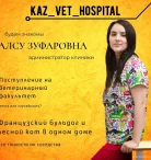 Казанская Ветеринарная Больница Фото 5 на проекте Kazan.vetspravka.ru