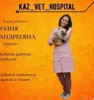 Казанская Ветеринарная Больница Фото 8 на проекте Kazan.vetspravka.ru