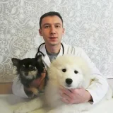 Ветеринарный кабинет Свой ветеринар  на проекте Kazan.vetspravka.ru
