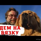 Питомник собак RussianDog Фото 2 на проекте Kazan.vetspravka.ru